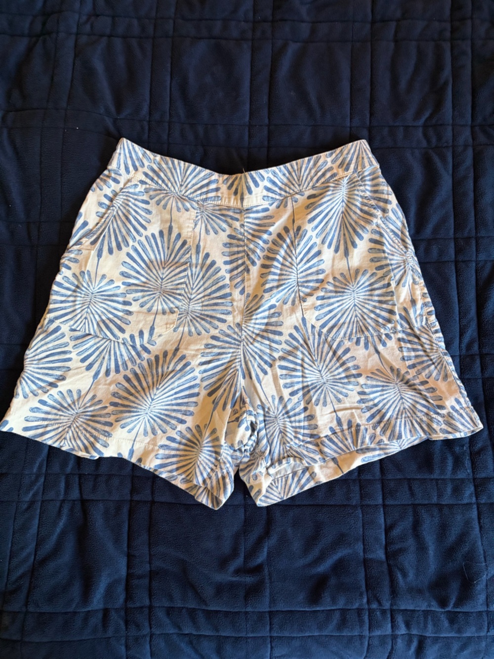 Joie Cream Shorts with Blue Burst Print
